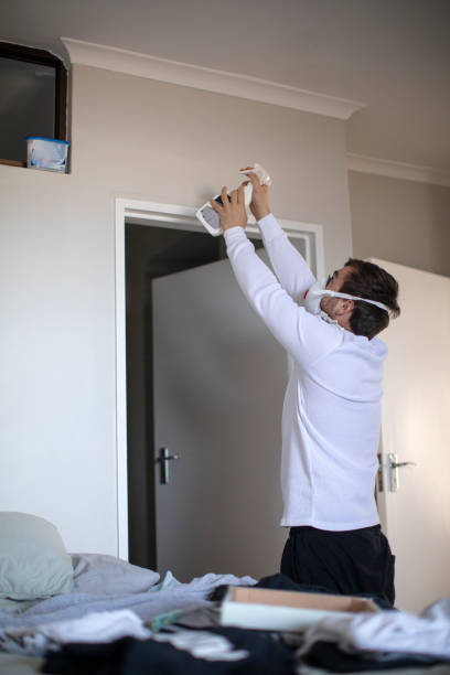 Best Mold Damage Restoration  in Scotland Neck, NC