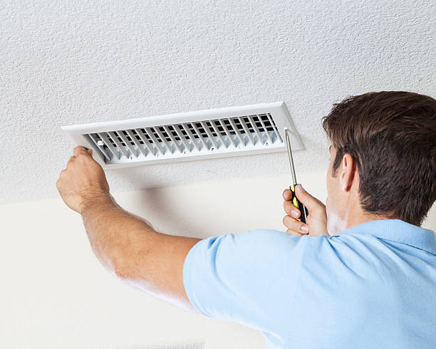 Reliable Scotland Neck, NC Mold Removal Solutions